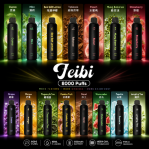 正版 FEIBI 8000口 菲比 一次性電子煙 拋棄式電子菸